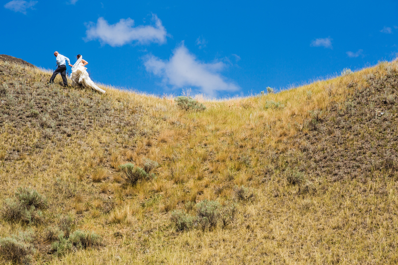 bride and groom on hillside