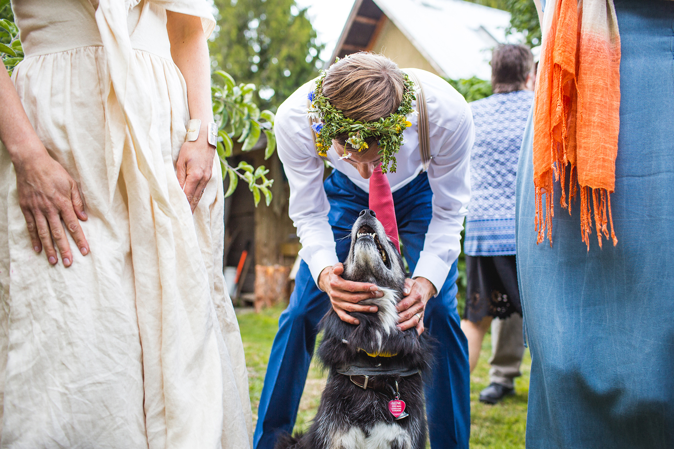 dogs at weddings