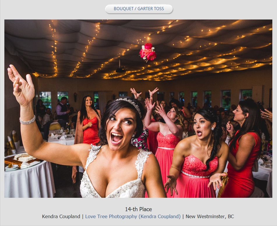 top professional wedding photographers in canada
