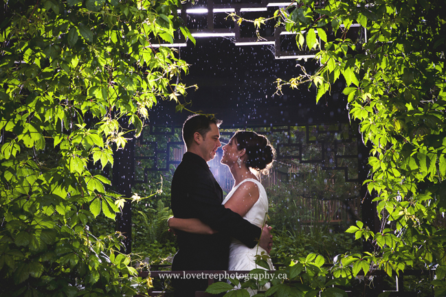 Minter Gardens Portraits | Harrison Hot Springs Wedding Photographer www.lovetreephotography.ca