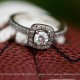 football engagement session shot by vancouver wedding photographers love tree photography