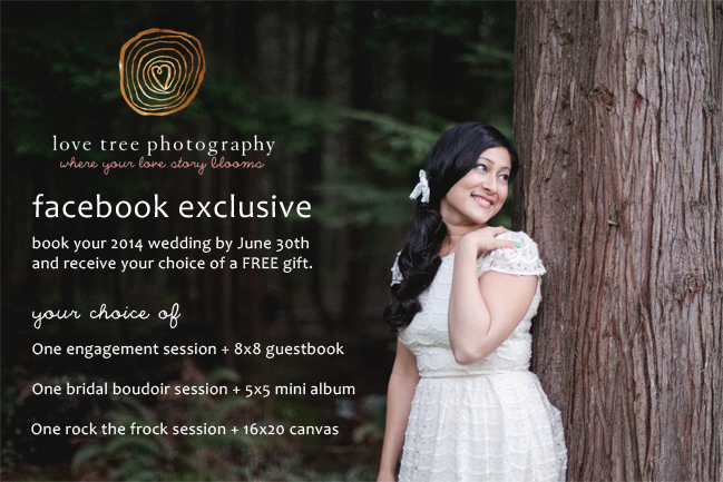 Wedding Photography Special