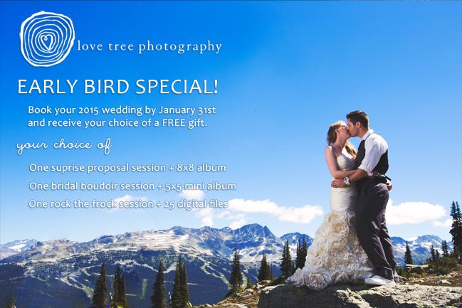 2015 early bird booking special for wedding photography in Vancouver