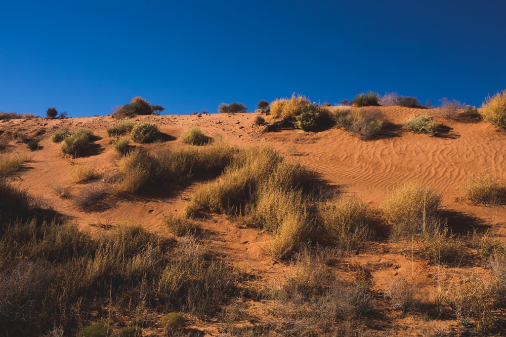 red sand in Utah and Arizona