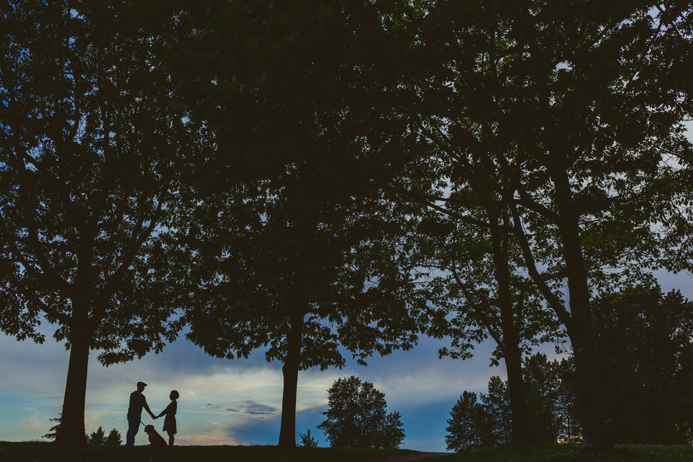 silhouette of a couple walking their dog
