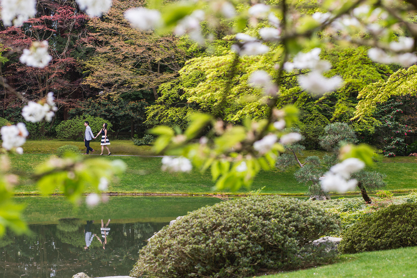 A romantic engagement session at Nitobe Gardens at UBC, followed by a picnic at Wreck Beach, shot by award winning Vancouver wedding photographers Love Tree Photography