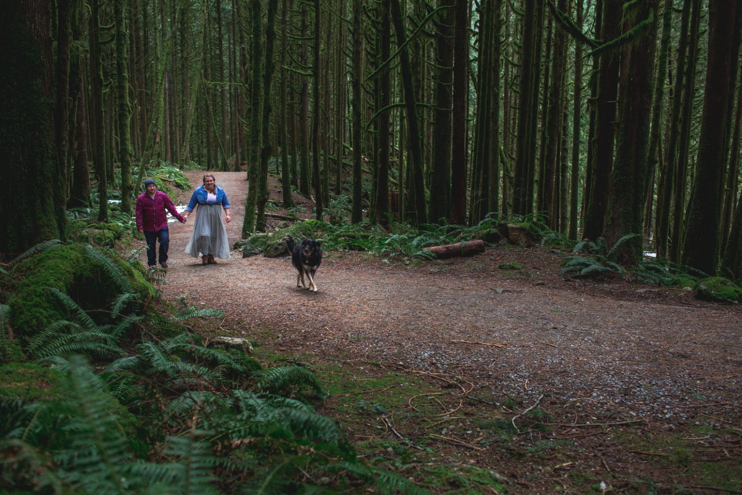 A couple walks hand in hand at Golden Ears Provincial Park with their dog